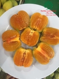 CÂY HỒNG GIÒN