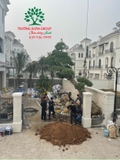 Thi công thực tế 80