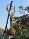 Thi công thực tế 92