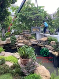 HỒ CÁ KOI 41