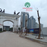 Thi công thực tế 84
