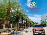 Thi công thực tế 82