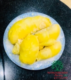 Cây Sầu Riêng