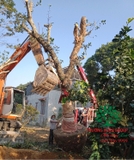 Thi công thực tế 92