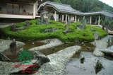 SÂN VƯỜN 45