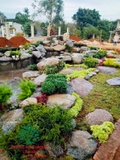 SÂN VƯỜN 49