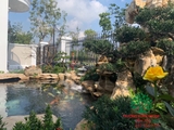 HỒ CÁ KOI 39