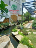 HỒ CÁ KOI 40