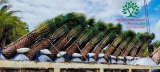Thi công thực tế 82