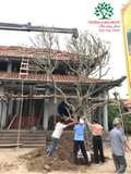 Thi công thực tế 77