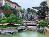 Núi non bộ 40