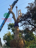 Thi công thực tế 92