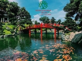 Hồ cá Koi 53