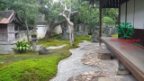SÂN VƯỜN 45