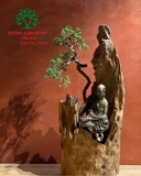 Bonsai 74