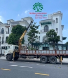 Thi công thực tế 80