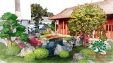 SÂN VƯỜN 50