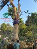Thi công thực tế 92