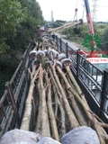 THÌ CÔNG THỰC TẾ 94