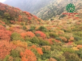SÂN VƯỜN 44