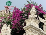 Hoa Giấy