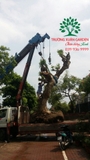Thi công thực tế