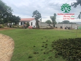 Thi công thực tế 83