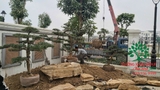 THÌ CÔNG THỰC TẾ 95