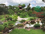 SÂN VƯỜN 48