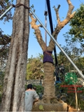 Thi công thực tế 92