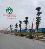 Thi công thực tế 84