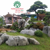 Núi non bộ 40