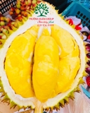 Cây Sầu Riêng