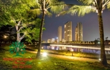 CÂY DỪA