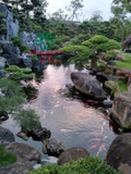 Hồ cá Koi 44