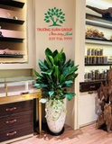 Bạch Mã Hoàng Tử