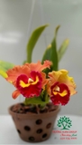 Hoa Lan