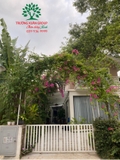 Hoa Giấy