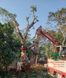 Thi công thực tế 92