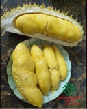 Cây Sầu Riêng