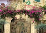 Hoa Giấy