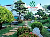 SÂN VƯỜN 38