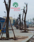 Thi công thực tế 84