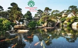 Hồ cá Koi 45