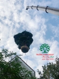 Thi công thực tế 81