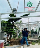 Thi công thực tế 79