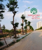 Thi công thực tế 84