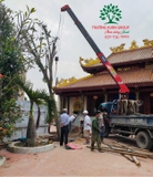 Thi công thực tế 84