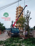 Thi công thực tế 84