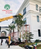 Thi công thực tế 81